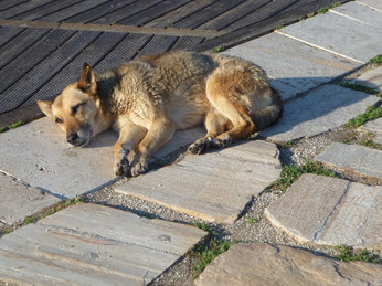 P1040683.JPG 3456x2592 index 439